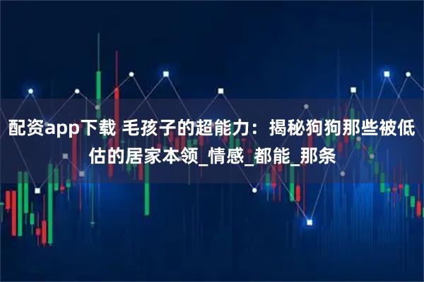 配资app下载 毛孩子的超能力：揭秘狗狗那些被低估的居家本领_情感_都能_那条