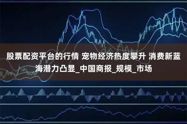 股票配资平台的行情 宠物经济热度攀升 消费新蓝海潜力凸显_中国商报_规模_市场