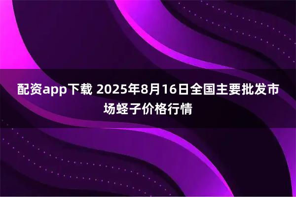 配资app下载 2025年8月16日全国主要批发市场蛏子价格行情